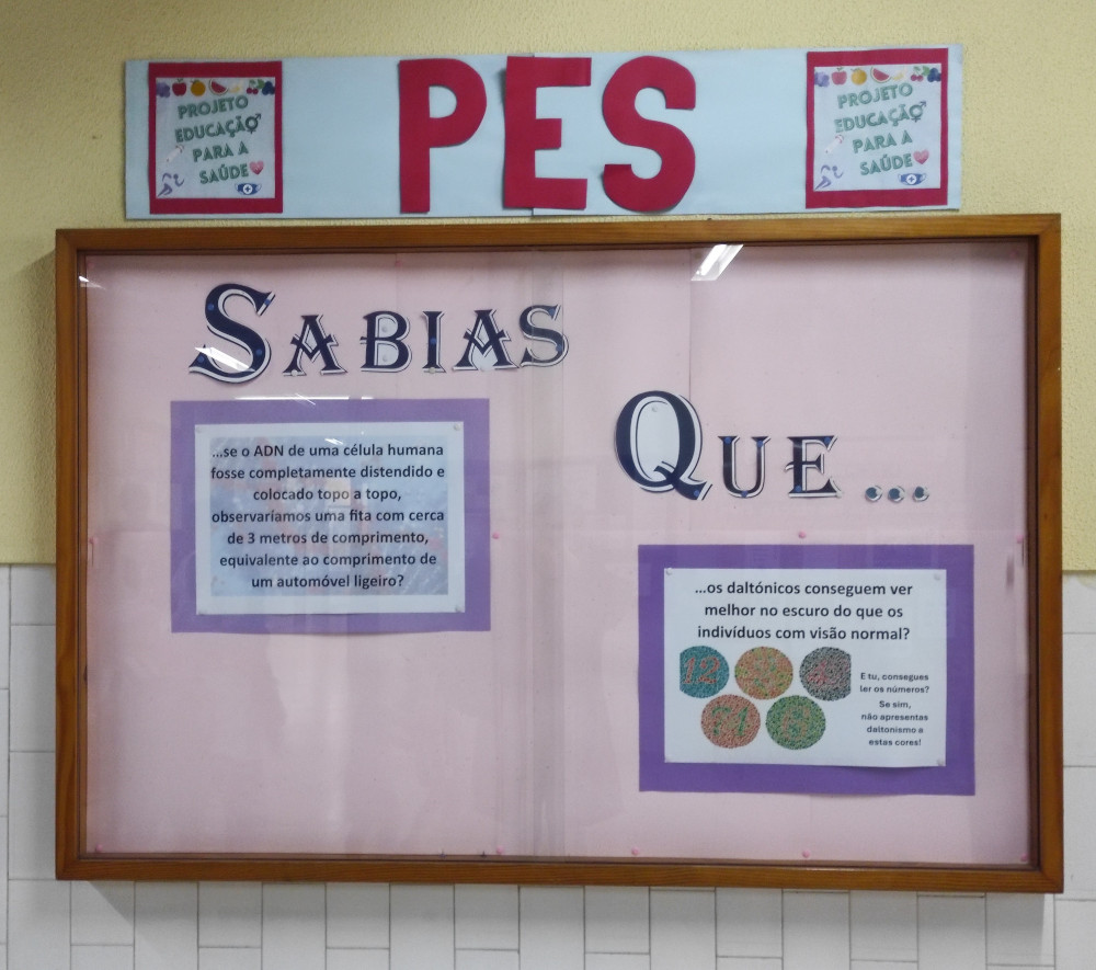 fotosabiasque5